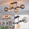 Koyoto ceiling light, globe light Amber, clear, Smoke-coloured, 6-light sources