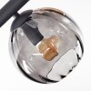Koyoto ceiling light, globe light Amber, clear, Smoke-coloured, 10-light sources
