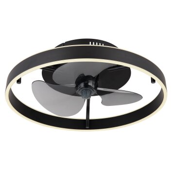 Globo lighting Conway Ceiling fan light LED black, 1-light source, Remote control