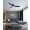 Globo lighting Armando Ceiling fan light LED black, 1-light source, Remote control