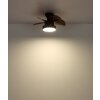 Globo lighting Kari Ceiling fan light LED brown, black, 1-light source, Remote control