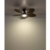 Globo lighting Elise Ceiling fan light LED Ecru, black, 1-light source, Remote control