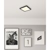 Globo lighting Fitzpatrick ceiling light LED black, 1-light source