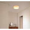 Globo lighting Page ceiling light white, 2-light sources