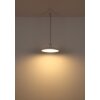 Globo lighting Rocha hanging light LED white, 1-light source