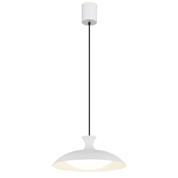 Globo lighting Rocha hanging light LED white, 1-light source