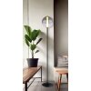 Globo lighting Lacy floor lamp LED black, 1-light source