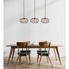 Globo lighting Greys hanging light black, 3-light sources