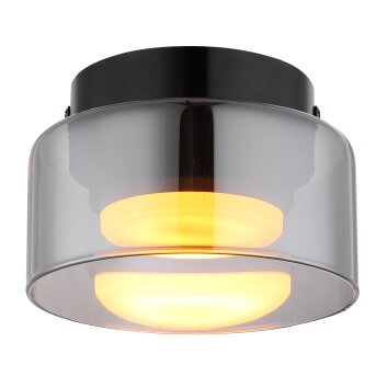 Globo lighting Higgins ceiling light black, 1-light source