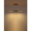 Globo lighting Cody hanging light LED gold, 1-light source