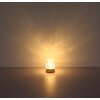 Globo lighting Lizzy table lamp LED gold, 1-light source