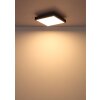 Globo lighting Doro ceiling light LED grey, silver, 1-light source