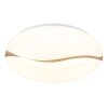 Globo lighting Leticia ceiling light LED white, 1-light source
