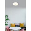 Globo lighting Leticia ceiling light LED white, 1-light source