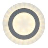 Globo lighting Jayden ceiling light LED white, 1-light source