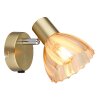 Globo lighting Zachery ceiling light, ceiling spotlight, wall light, wall spotlight brass, 1-light source