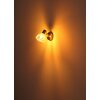 Globo lighting Zachery ceiling light, ceiling spotlight, wall light, wall spotlight brass, 1-light source