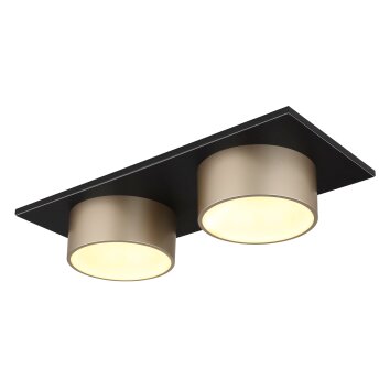 Globo lighting Raymond ceiling light LED anthracite, black, 1-light source