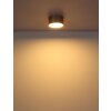 Globo lighting Raymond ceiling light LED gold, 1-light source