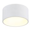 Globo lighting Raymond ceiling light LED white, 1-light source