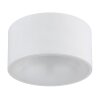 Globo lighting Raymond ceiling light LED white, 1-light source