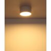 Globo lighting Raymond ceiling light LED white, 1-light source