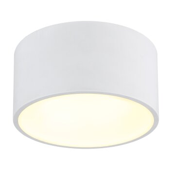 Globo lighting Raymond ceiling light LED white, 1-light source