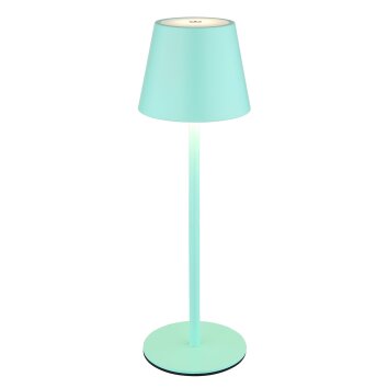 Globo lighting Vannie table lamp LED green, 1-light source