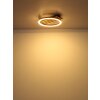 Globo lighting Tisha ceiling light LED Ecru, black, 1-light source