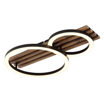 Globo lighting Tisha ceiling light LED Ecru, black, 1-light source