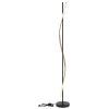 Globo lighting Watkins floor lamp LED black, 1-light source