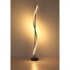 Globo lighting Watkins floor lamp LED black, 1-light source