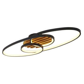 Globo lighting Tisha ceiling light LED brown, black, 1-light source