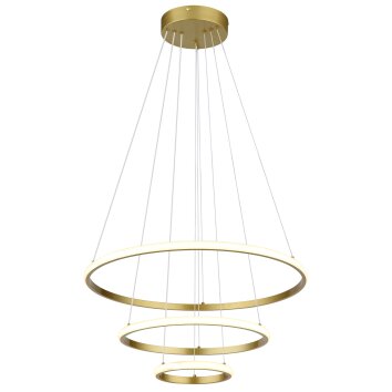 Globo lighting Corine hanging light LED gold, 1-light source