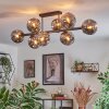 Ripoll ceiling light, globe light Smoke-coloured, 8-light sources