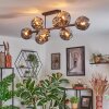 Ripoll ceiling light, globe light Smoke-coloured, 8-light sources