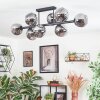 Ripoll ceiling light, globe light Smoke-coloured, 8-light sources