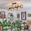 Ripoll ceiling light, globe light Amber, clear, 8-light sources