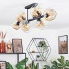 Ripoll ceiling light, globe light Amber, clear, 8-light sources