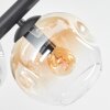 Ripoll ceiling light, globe light Amber, clear, 8-light sources