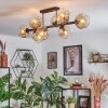 Ripoll ceiling light, globe light Amber, clear, 8-light sources