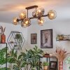 Ripoll ceiling light, globe light Amber, clear, Smoke-coloured, 8-light sources