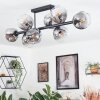 Ripoll ceiling light, globe light clear, Smoke-coloured, 8-light sources