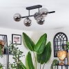 Chehalis ceiling light, globe light Smoke-coloured, 5-light sources