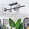 Chehalis ceiling light, globe light clear, Smoke-coloured, 5-light sources