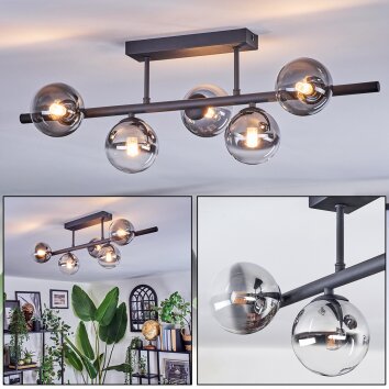 Chehalis ceiling light, globe light clear, Smoke-coloured, 5-light sources