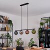 Gastor hanging light, globe light, pendant light blue, chrome, green, coppery, Smoke-coloured, 4-light sources
