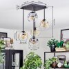Ripoll ceiling light, globe light Amber, clear, Smoke-coloured, 5-light sources
