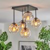 Ripoll ceiling light, globe light Amber, clear, Smoke-coloured, 5-light sources