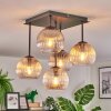 Koyoto ceiling light, globe light Amber, clear, Smoke-coloured, 5-light sources